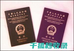 旅行证件办理全解析：从基础到进阶的全面指导 (旅行证件办理需要多久)