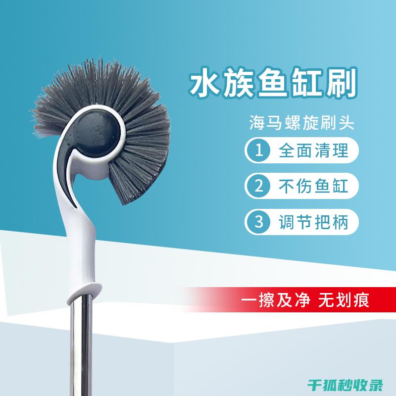 水族箱清洁技巧：如何安全移除水草根部污垢 (水族箱清洁技术要求)