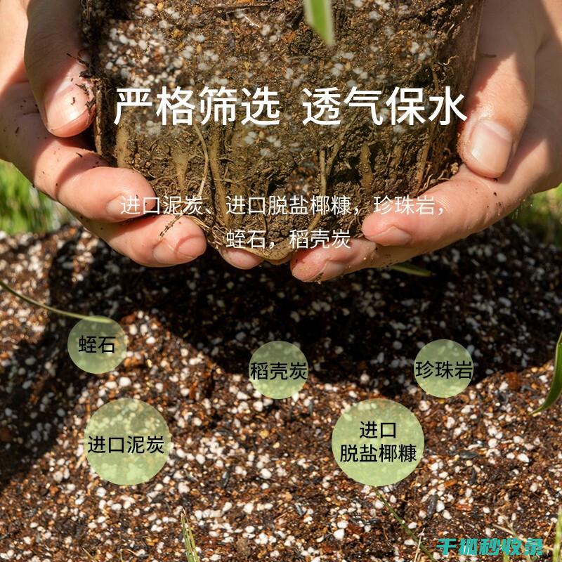 盆栽土壤配比：适合观果植物的配方要点 (盆栽土壤配比方法)