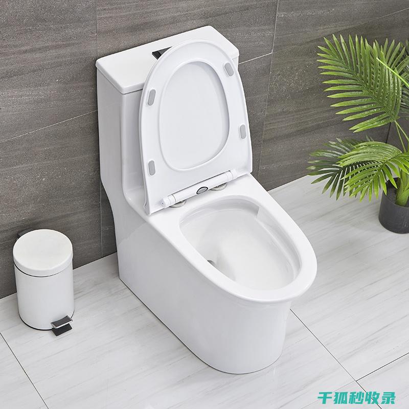 马桶清洁消毒：从清洁到消毒的全方位解决方案 (马桶清洁消毒步骤)