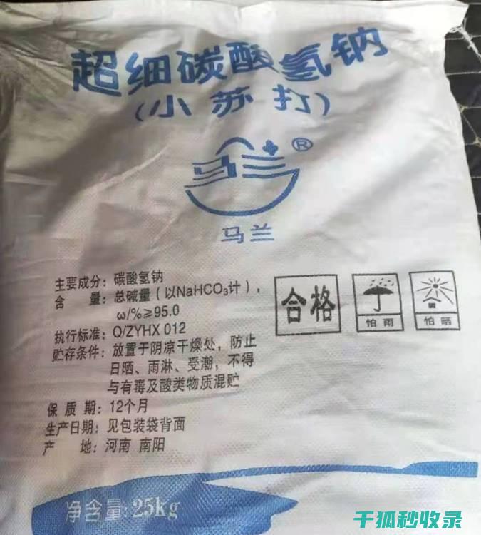 小苏打的10个家居护理小技巧，让你的家庭焕然一新 (小苏打的100种吃法大全)