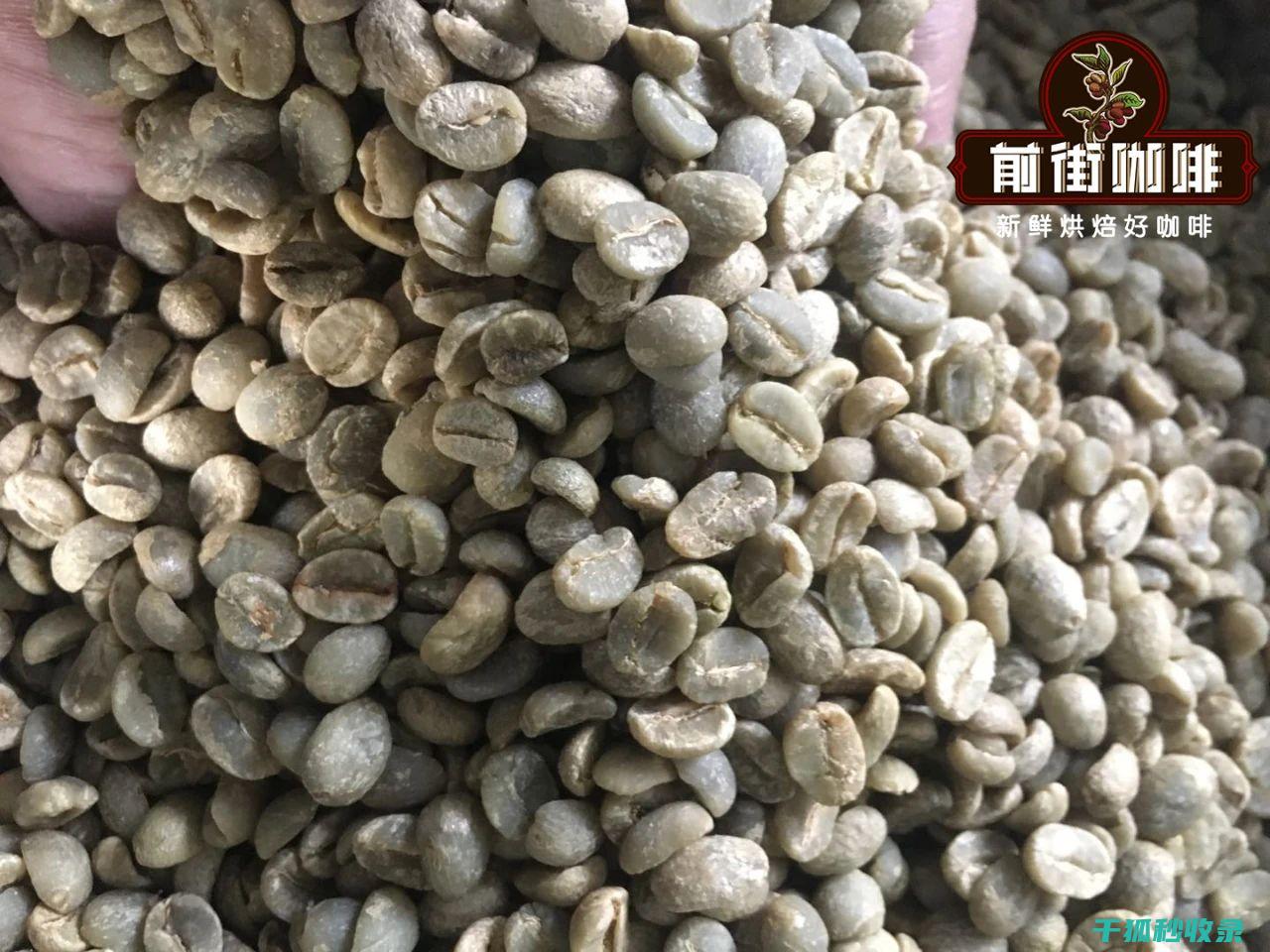 咖啡豆的正确保存方式：延长咖啡的新鲜度和风味 (咖啡豆的正确保存方法)