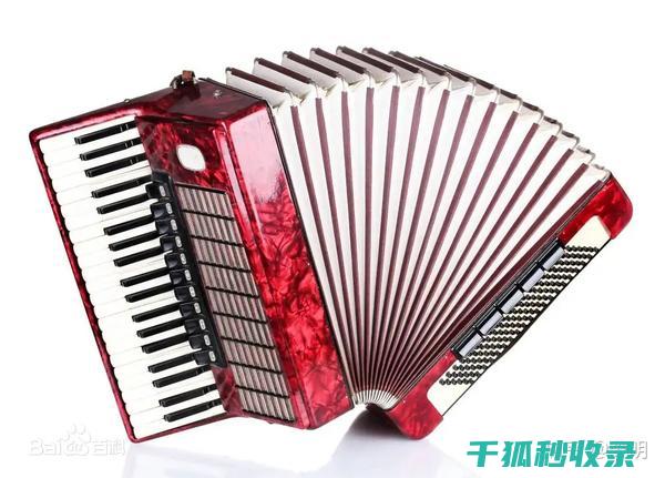 乐器防潮攻略：打造一个适合乐器存放的干燥环境 (乐器受潮)